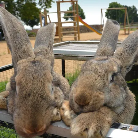 Hotel 3* Düren - Eifel