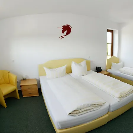 Hotel-restaurant Rotes Einhorn Düren *** Superior 3* Düren - Eifel