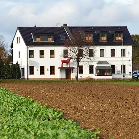 Hotel Hotel-restaurant Rotes Einhorn Düren *** Superior 3*