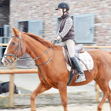 Hotel-restaurant Rotes Einhorn Düren *** Superior 3*