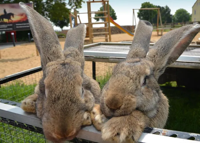 Hotel 3* Düren - Eifel